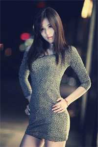 北城寂寥南城殇陆绍野陈昭星大结局