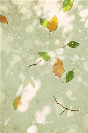 此别经年忘却情完整版