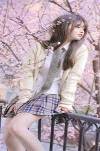 水仙辞镜月如霜精品推荐