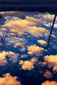 往后山河皆为你完结