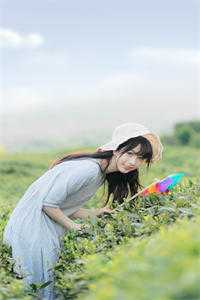 海棠开尽再无君畅销巨著