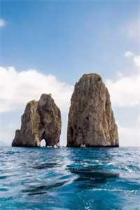 岁暮星沉爱已迟完结txt