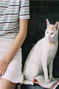 北城寂寥南城殇免费