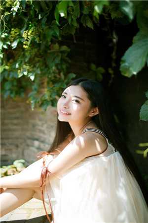 浮生未歇爱已沉后续+无弹窗