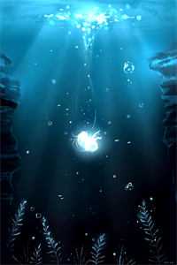 你的星光我的归期热门小说