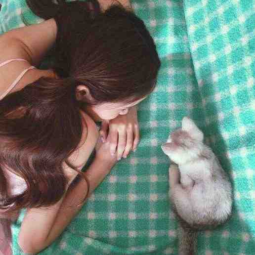 予我清风，渡我苦夏沈清辞顾承泽全集