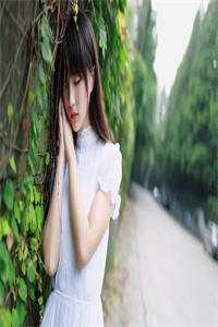 佛烬冉新生无广告