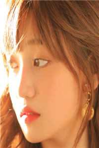 飞雁渡春秋几重小说结局