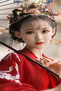 风月寄梦不寄君后续