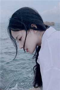 告白未遂，先看清了他的心林曦陆时砚番外