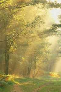 老婆偷偷跟丧妻兄弟结婚给他拿绿卡后，她悔疯了未删减版