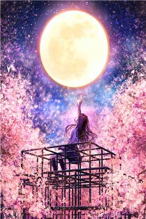 星河烬处夜生潮全本