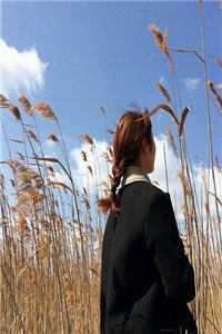 与妻共看云起时沈云清江月凝前文+后续