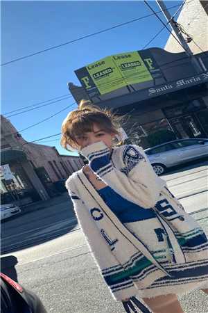 飞雁渡春秋几重无删减版