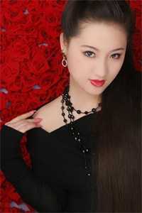 三次离婚，这次不复婚了完本