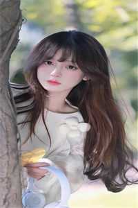 飞雁渡春秋几重全本小说推荐