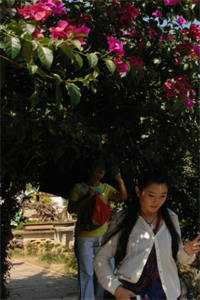 阴湿小狗缠上身，姐姐！疼疼我！完整文集阅读