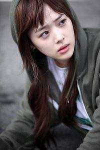 应似飞鸿踏雪泥前文+后续