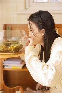 风掠长街花辞树江影季淮北番外