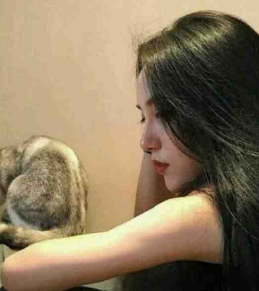 月落星未眠已完结