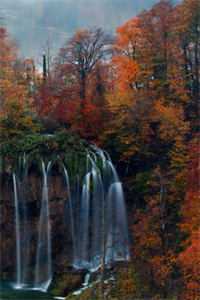 梨花落尽，云散夜未明小说免费阅读