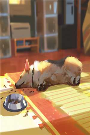 神婆奶奶给我留了三个锦囊无删减版