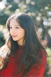 北城旧梦扰清风后续+无弹窗