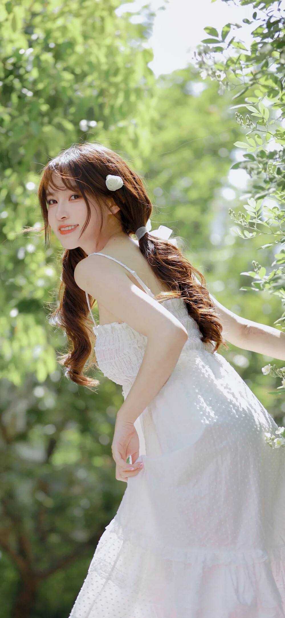 南风不度，熙年成灰连载