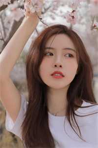 如果不曾见过光无删减