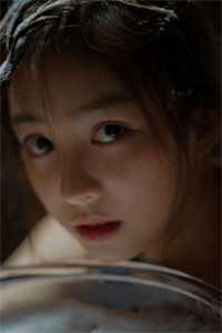 如果不曾见过光小说畅读