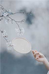 相偕不负良辰夜已完结版