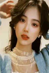 雪迟再不归质量好文