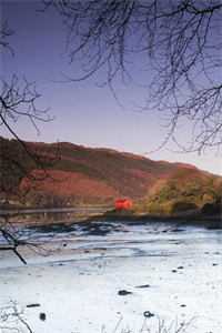 溺海一梦尽成空免费