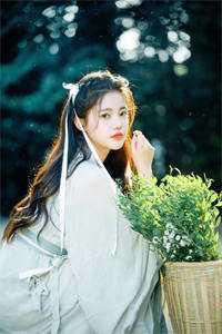 与妻共看云起时结局+番外