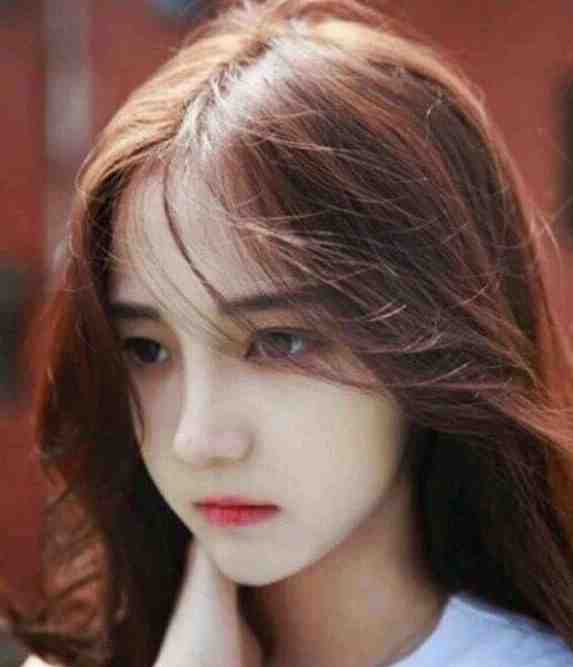 送我春风如梦醒全文+后续