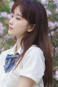 你的星光我的归期顾知衍顾雨汐全集