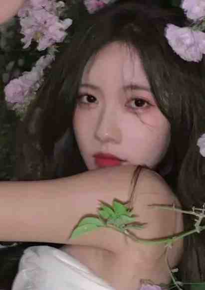 蝉鸣盛夏别离时畅销巨著