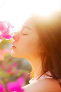 偶有旧梦折春枝完结+番外