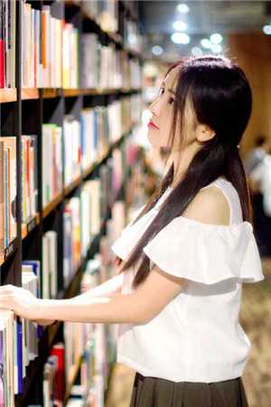 半窗疏影渡流光连载