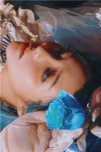 暖阳如约至，鱼骨葬深冬热门