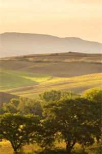 南风不度，熙年成灰火爆小说