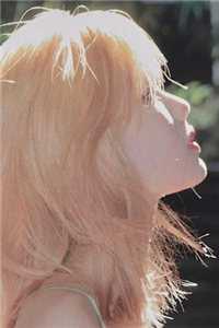 海鸥与红嫁衣完结