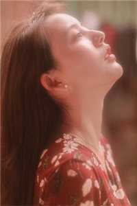 许我人间白头霜阅读