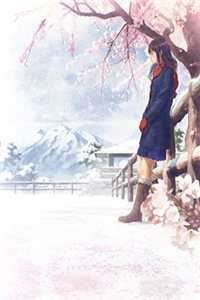 月落星沉人未还广告+结局