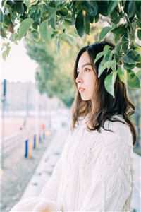 行道迟迟终有归后续+无弹窗