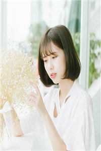 你的星光我的归期完本