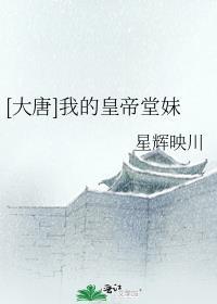 换胎女儿成状元，嫂子来抢亲赵有财赵花妮 番外