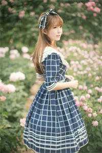 一枕月华解相思高口碑