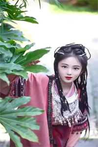 细雨洇湿了青衫小说免费阅读