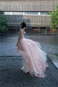 蹉跎岁晚悟犹迟无错版